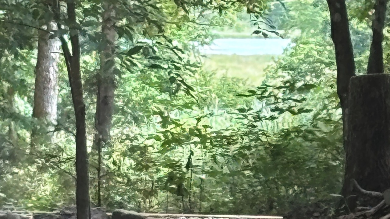 Photo of Others in Glenwood