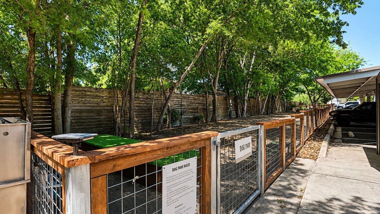 Photo of Outdoor in South Lamar