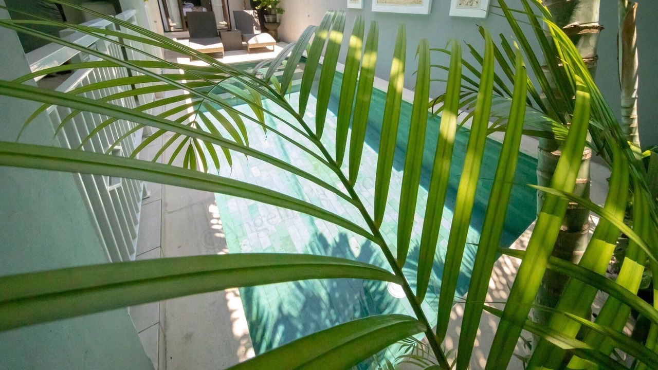 Photo of Outdoor in Sanur Kauh