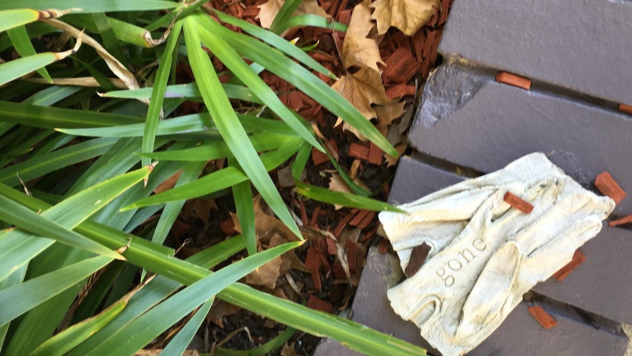 Photo of Outdoor in St. Leonards