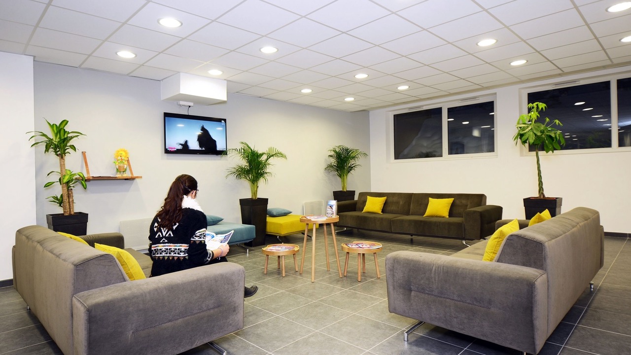 Photo of Others in Auris