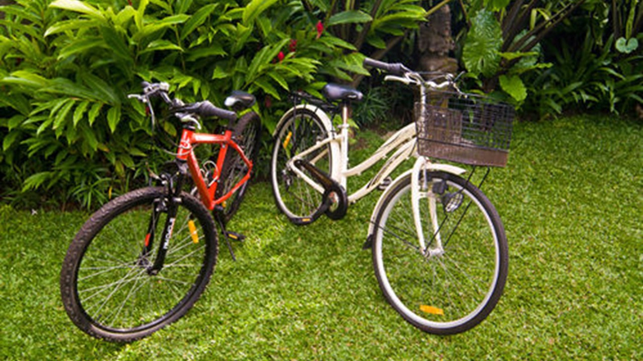 Photo of Outdoor in Berawa