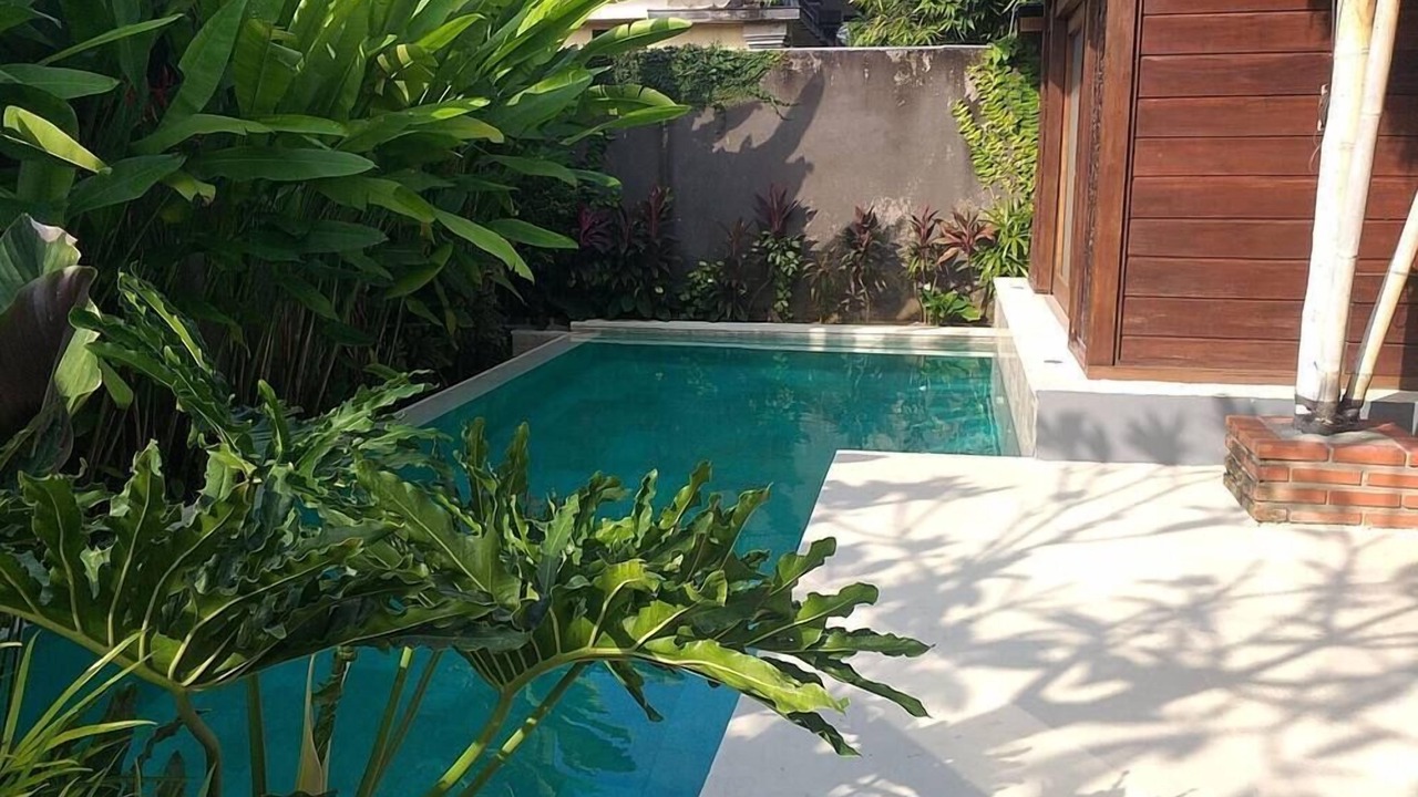 Photo of Livingroom in Penatih