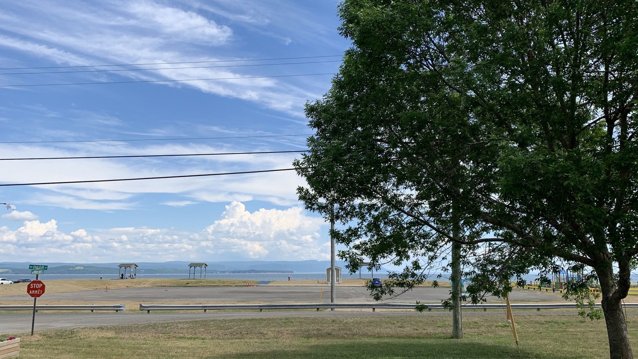 Photo of Others in Charlo