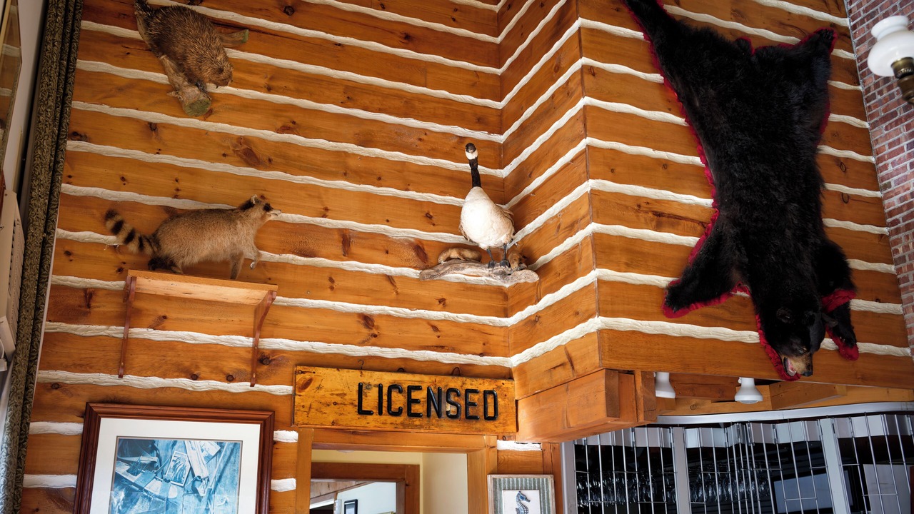Photo of Others in Liscomb