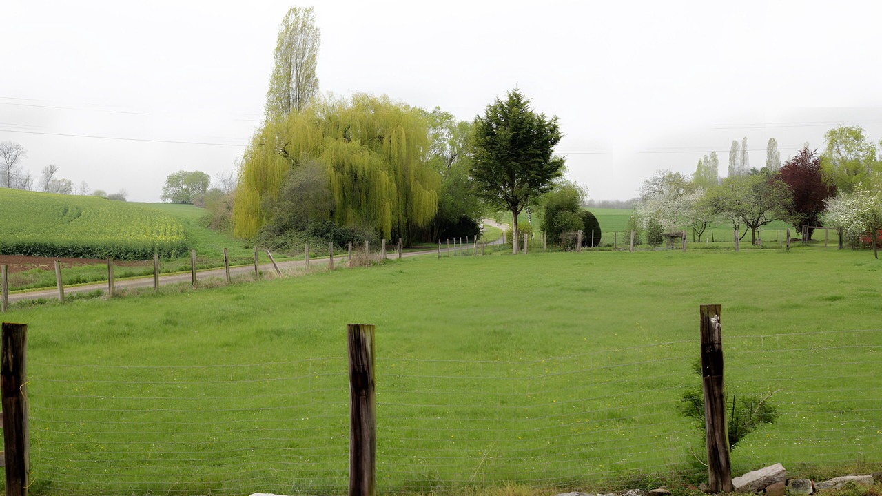 Photo of Outdoor in Schnersheim