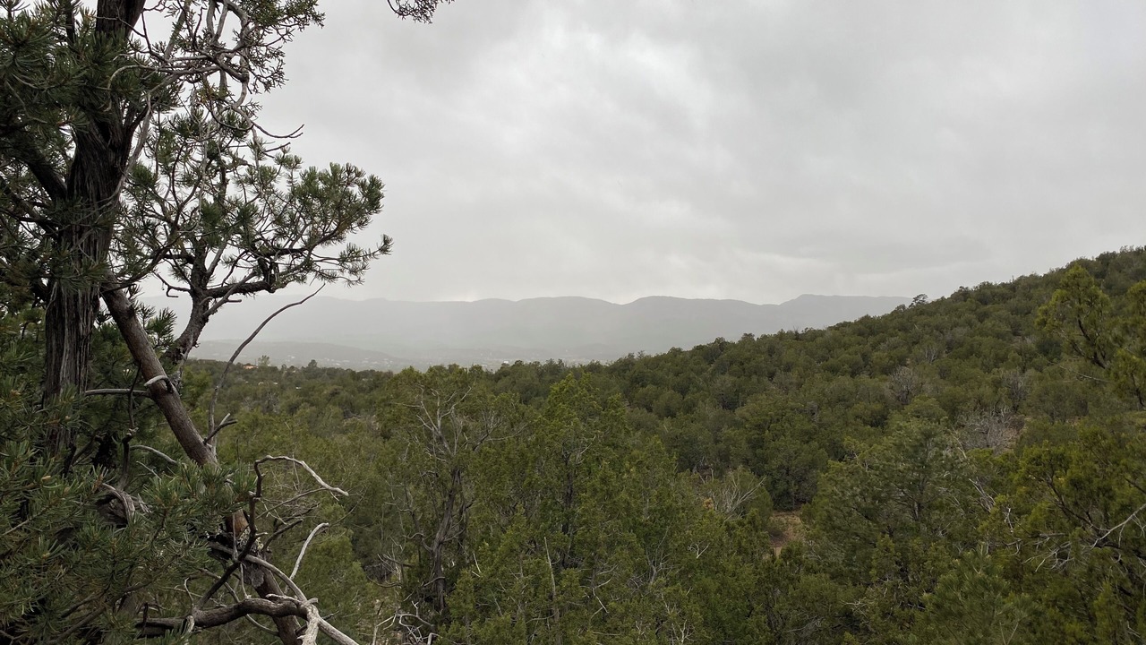 Photo of Others in Sandia Park