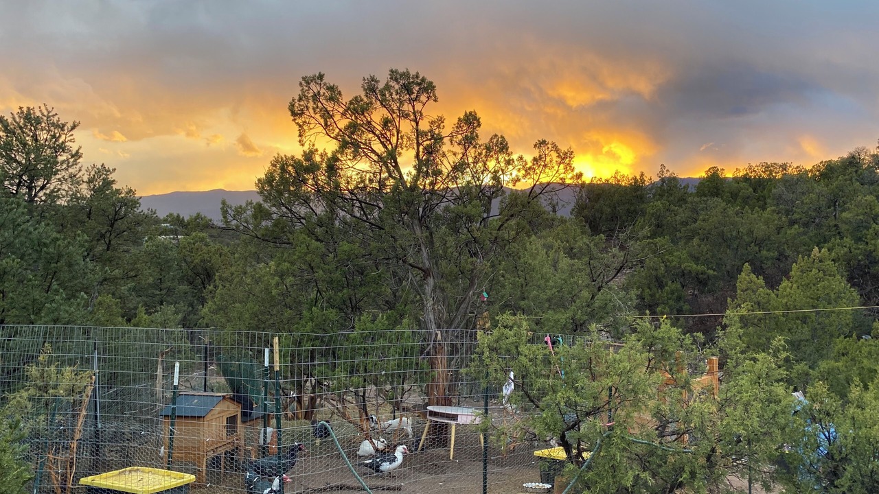 Photo of Others in Sandia Park