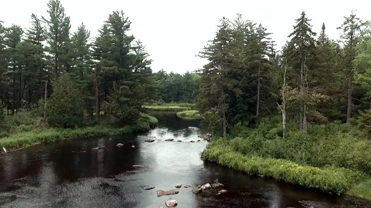 Photo of Others in Hopkinton