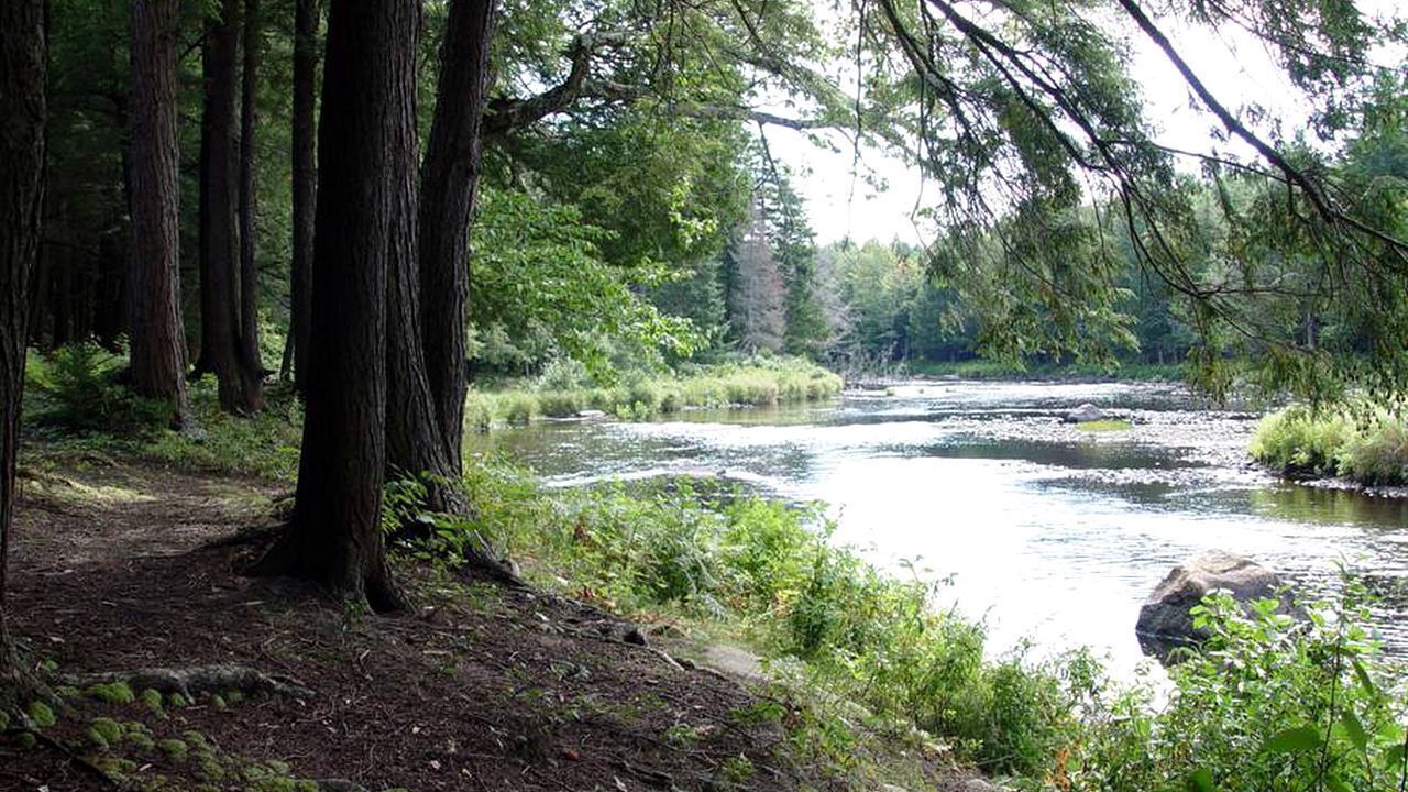 Photo of Others in Hopkinton