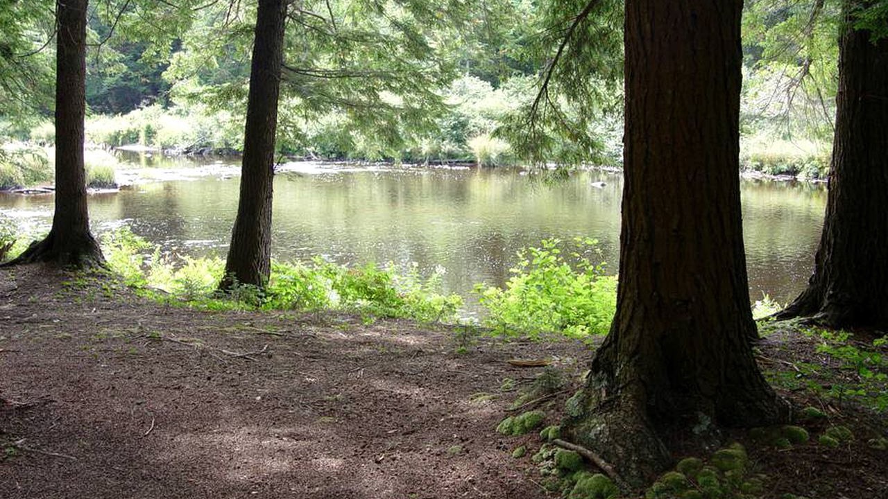 Photo of Others in Hopkinton