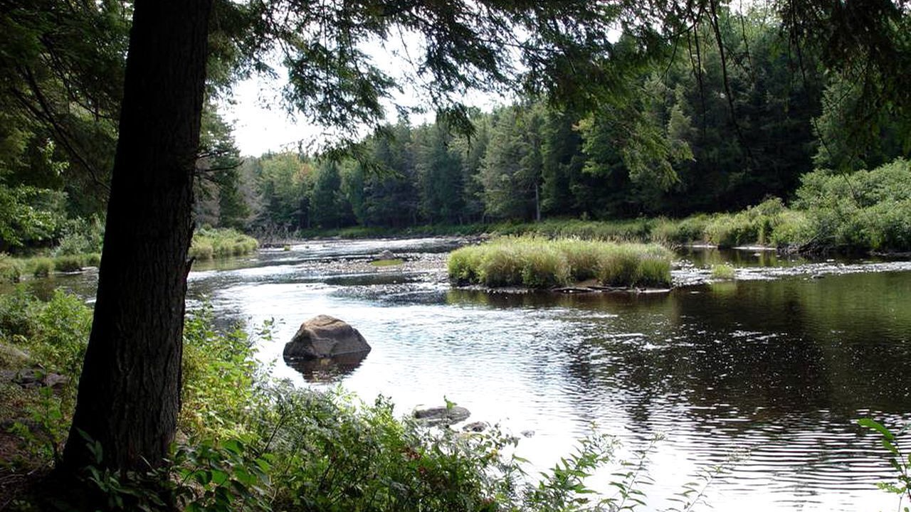 Photo of Others in Hopkinton