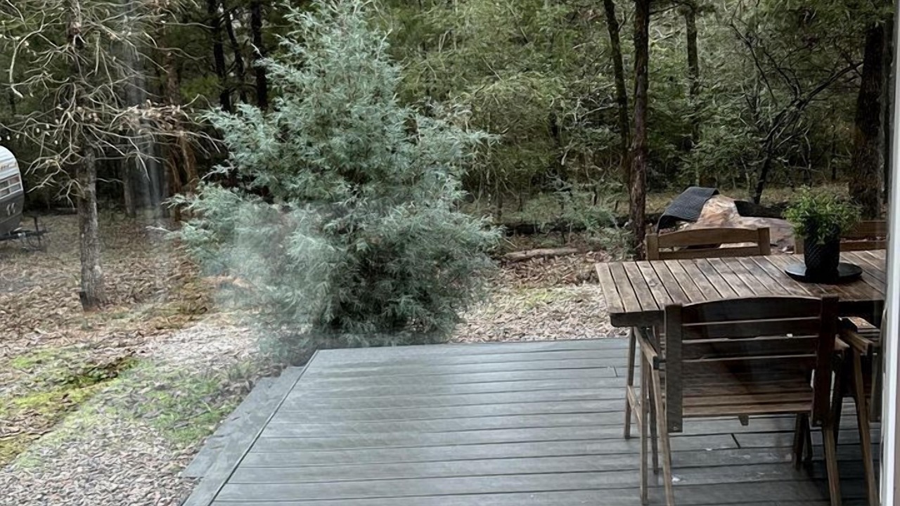 Photo of Outdoor in Log Cabin