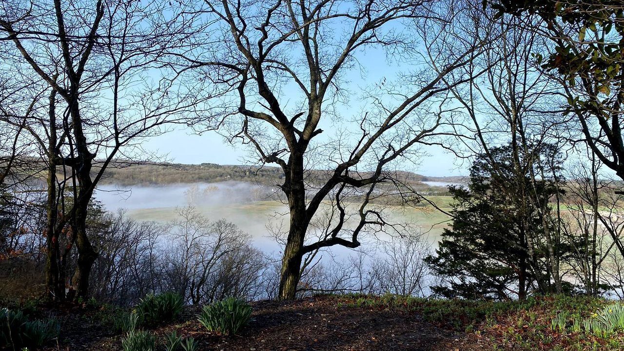 Photo of Others in Fayetteville