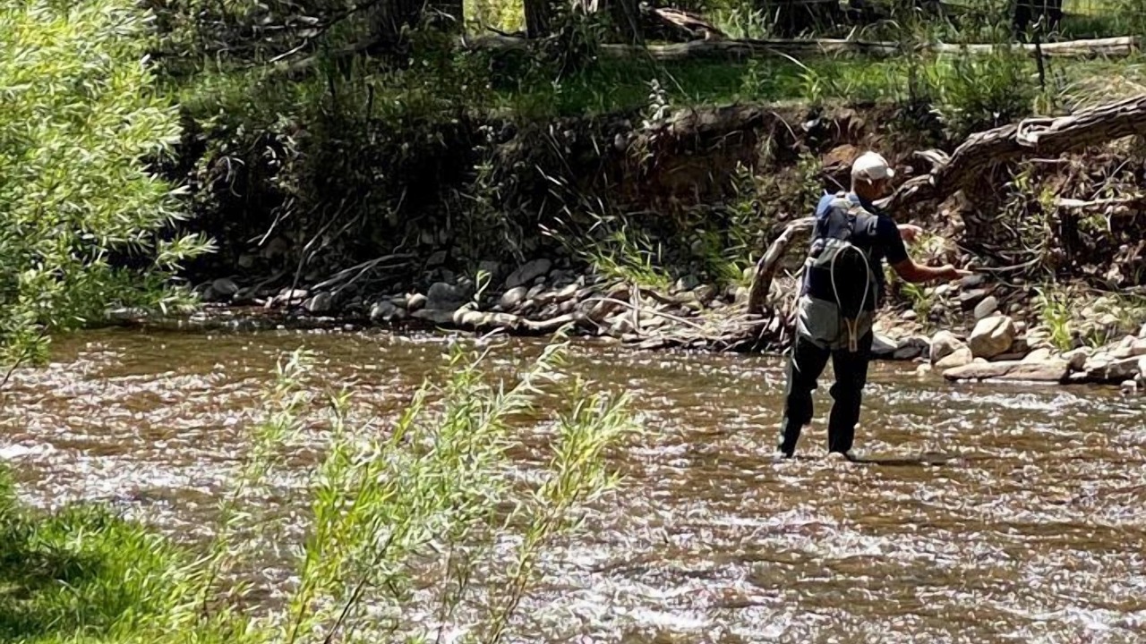 Photo of Others in Pecos