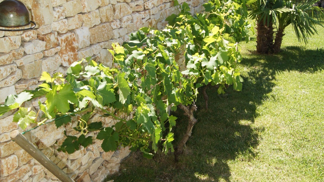 Photo of Outdoor in Fons