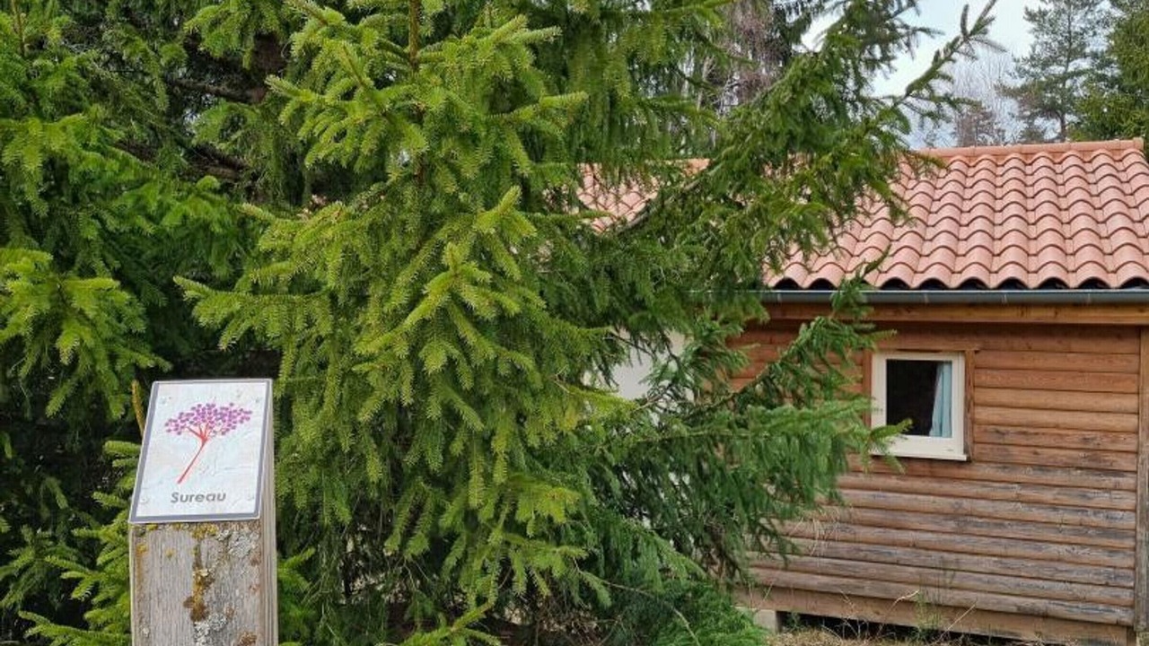 Photo of Outdoor in Usson-en-Forez