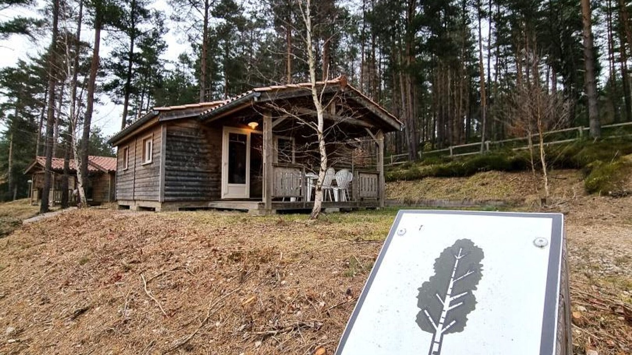 Photo of Outdoor in Usson-en-Forez
