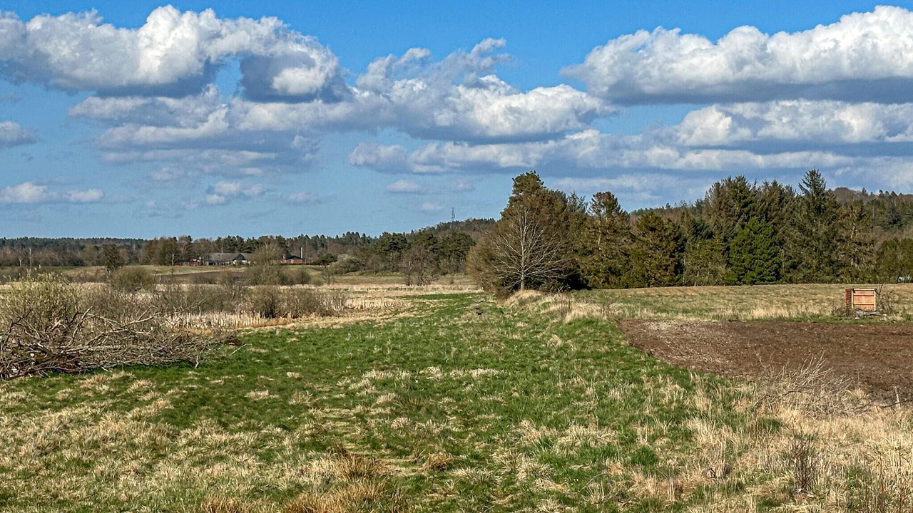 Photo of Others in Helberskov