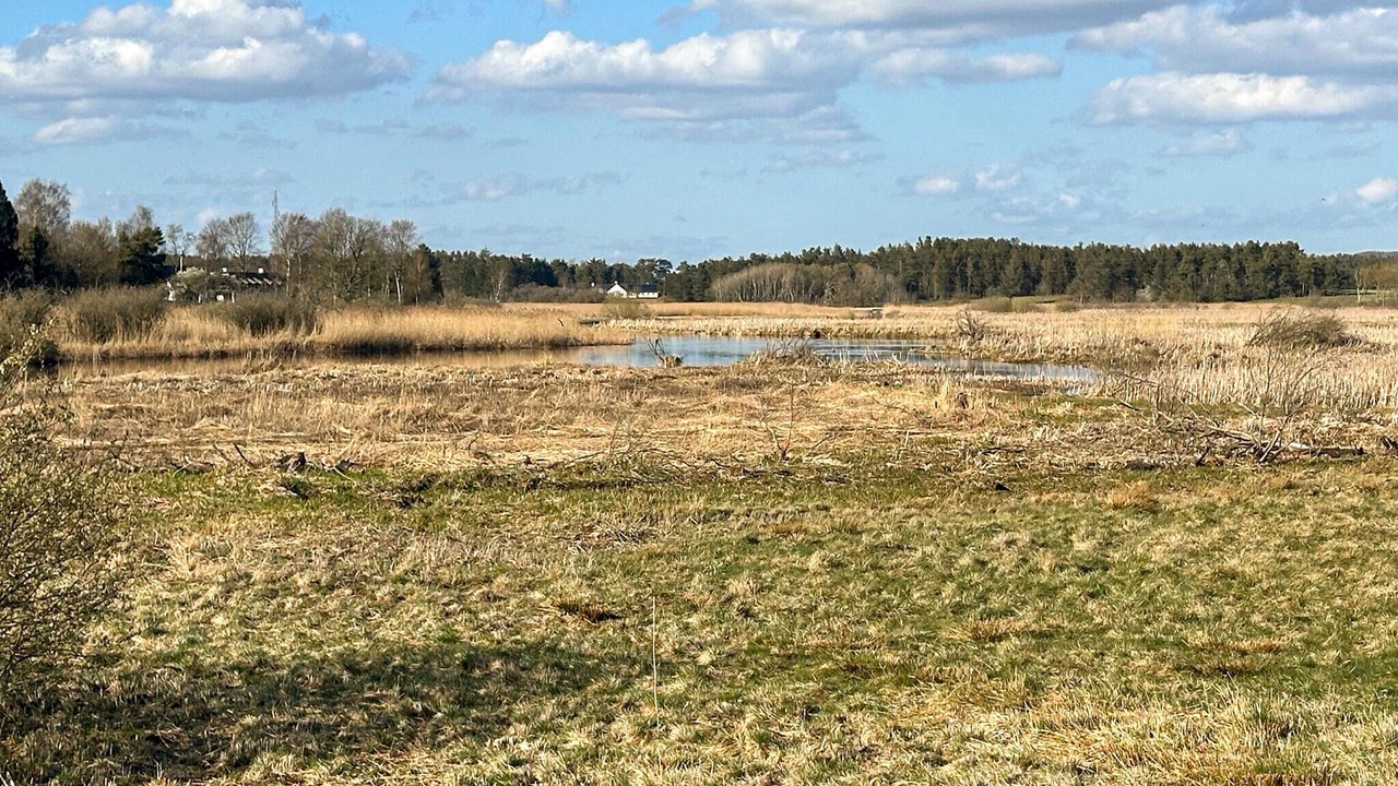 Photo of Others in Helberskov