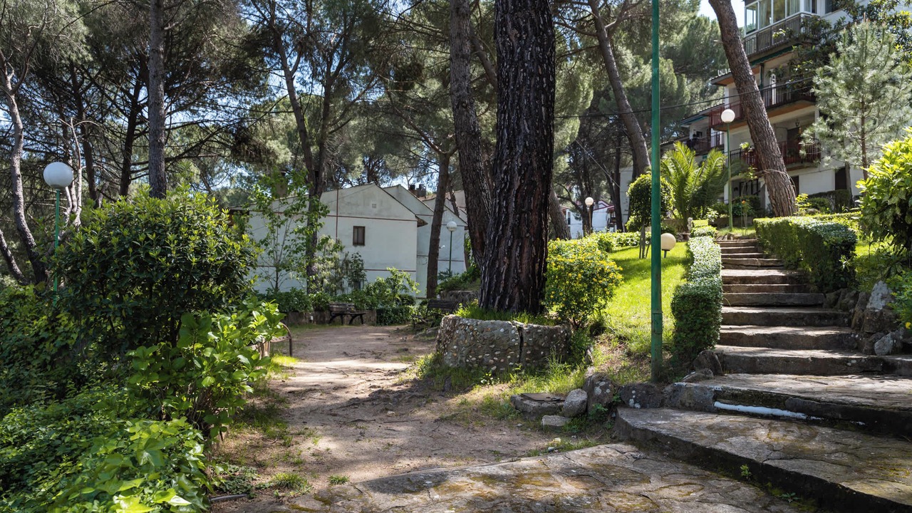 Photo of Outdoor in San Martin de Valdeiglesias