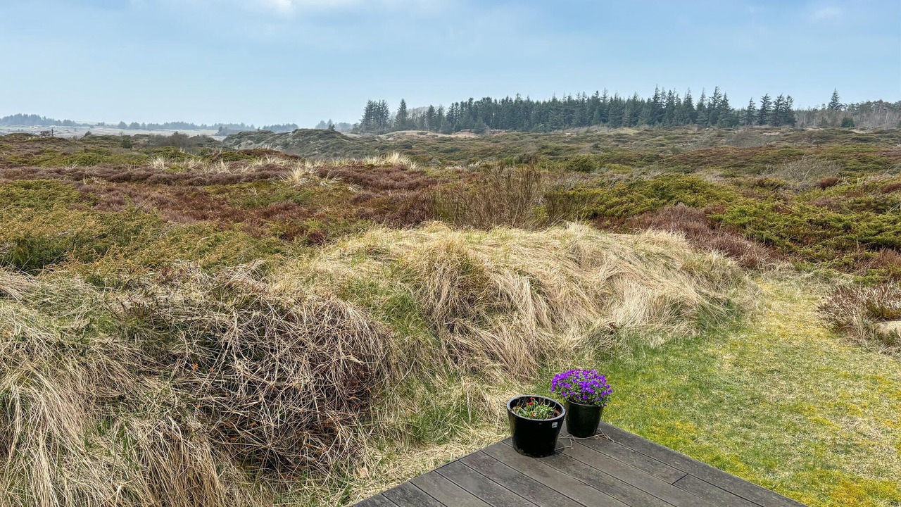 Photo of Others in Fjerritslev