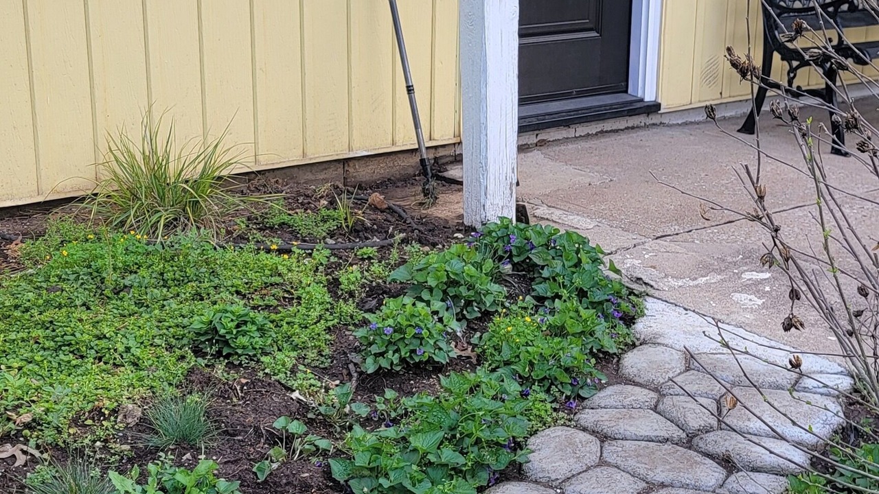 Photo of Outdoor in South Kansas City
