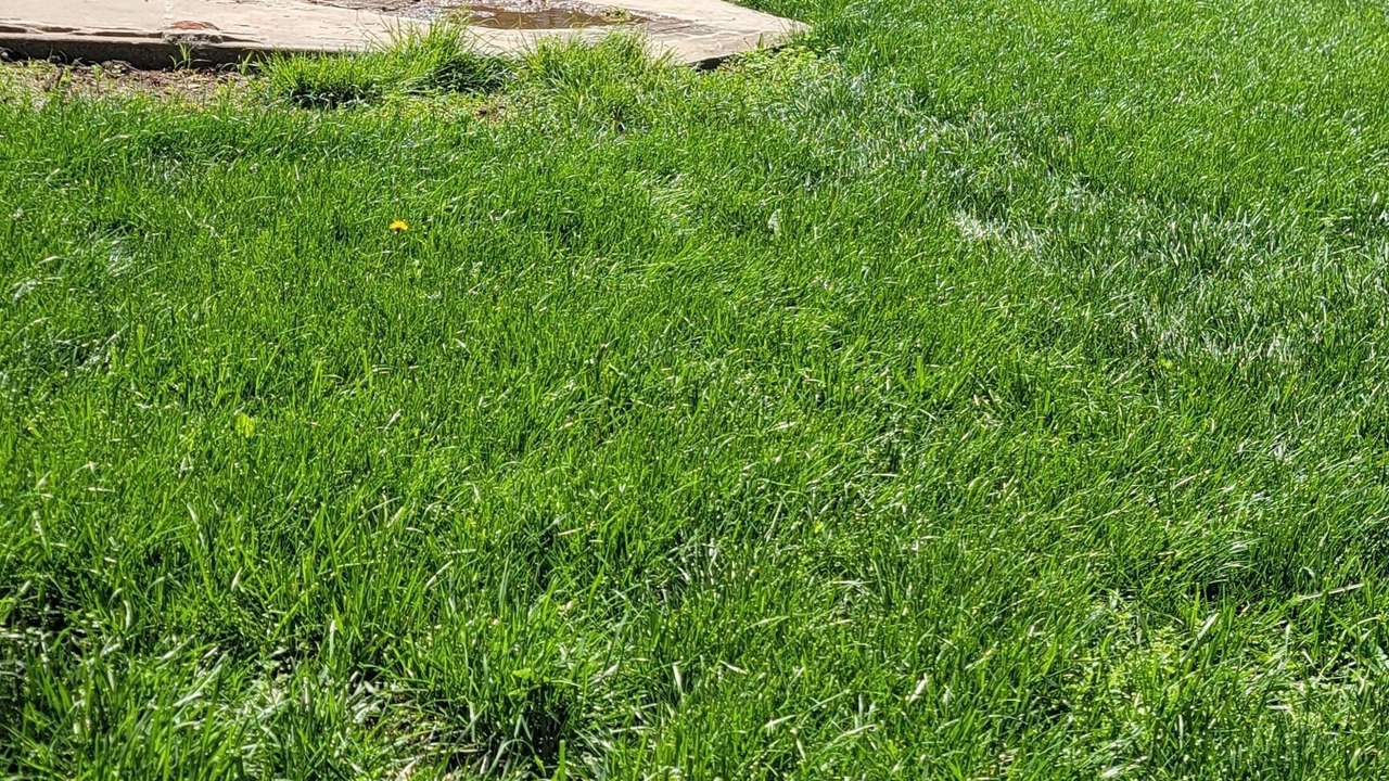 Photo of Outdoor in South Kansas City