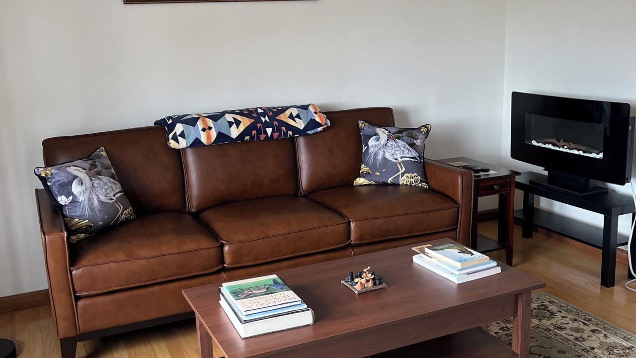 Photo of Livingroom in Schuylerville