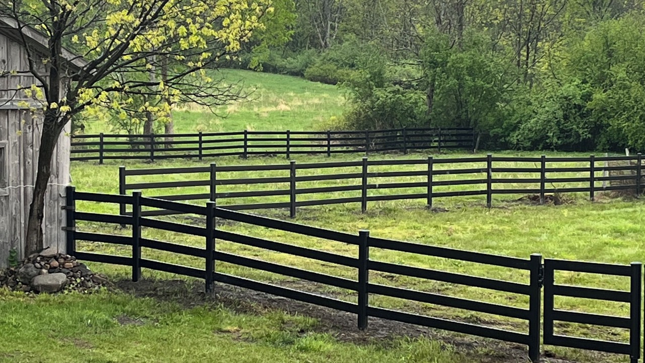 Photo of Others in Schuylerville