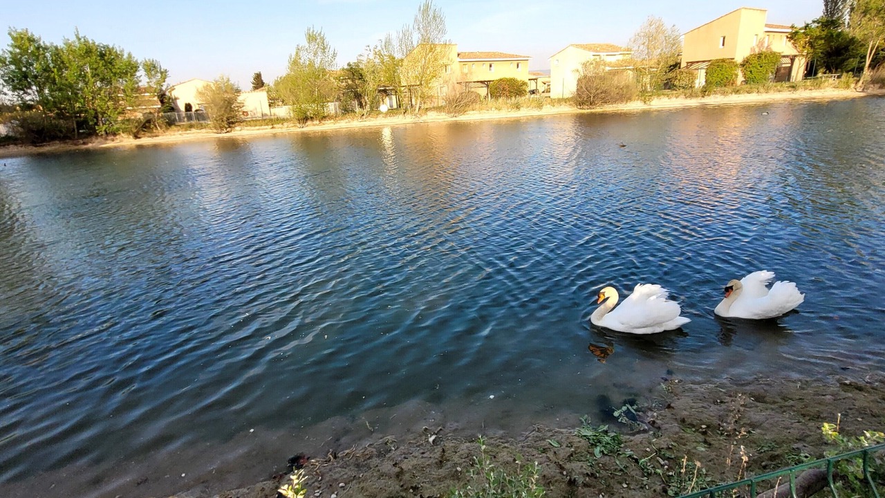 Photo of Others in Saint-Saturnin-les-Avignon