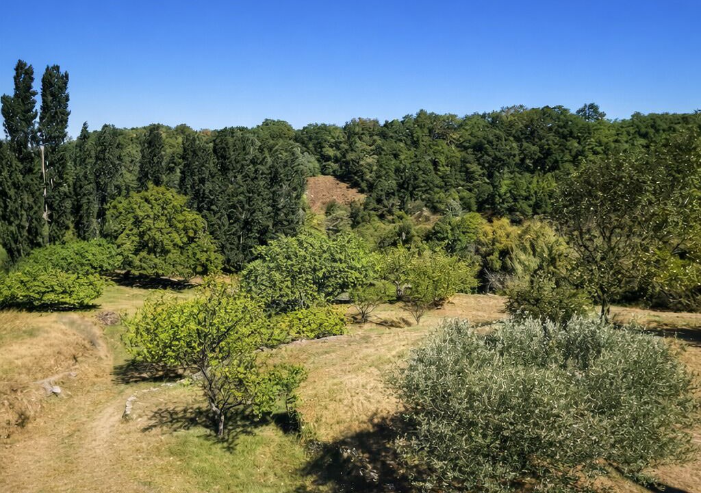 Photo of Outdoor in Saint-Montan