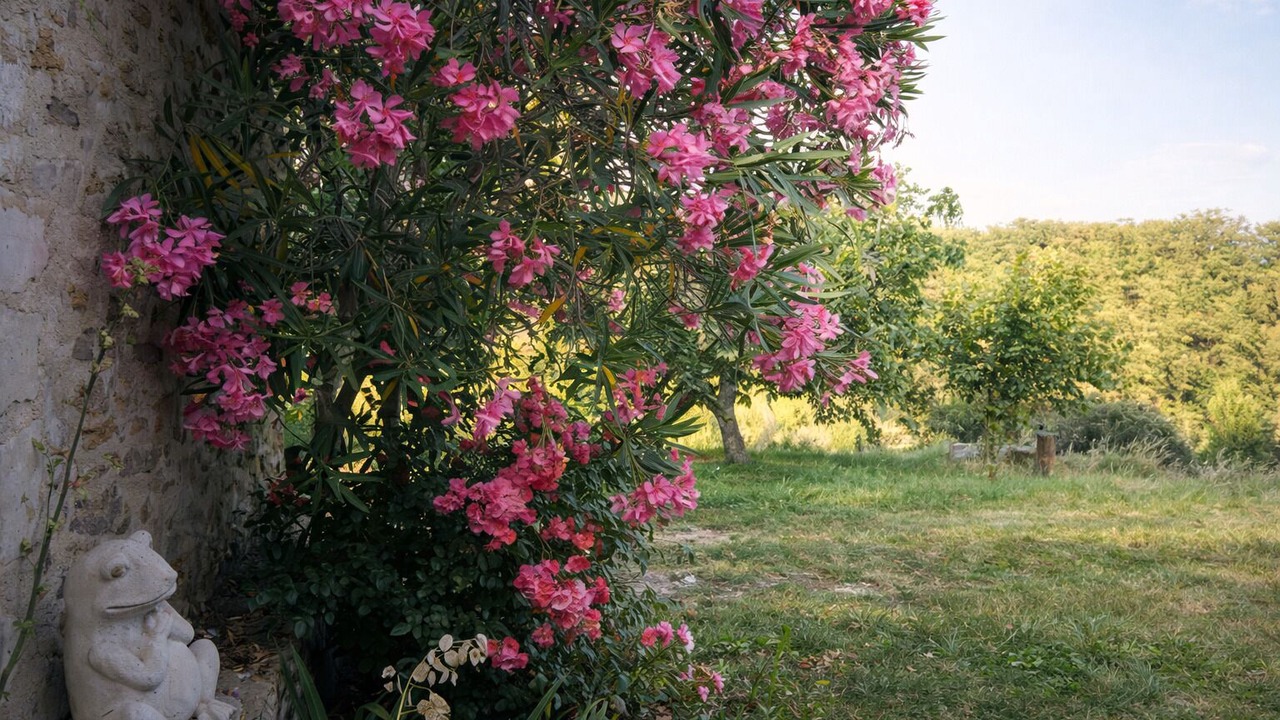 Photo of Outdoor in Saint-Montan