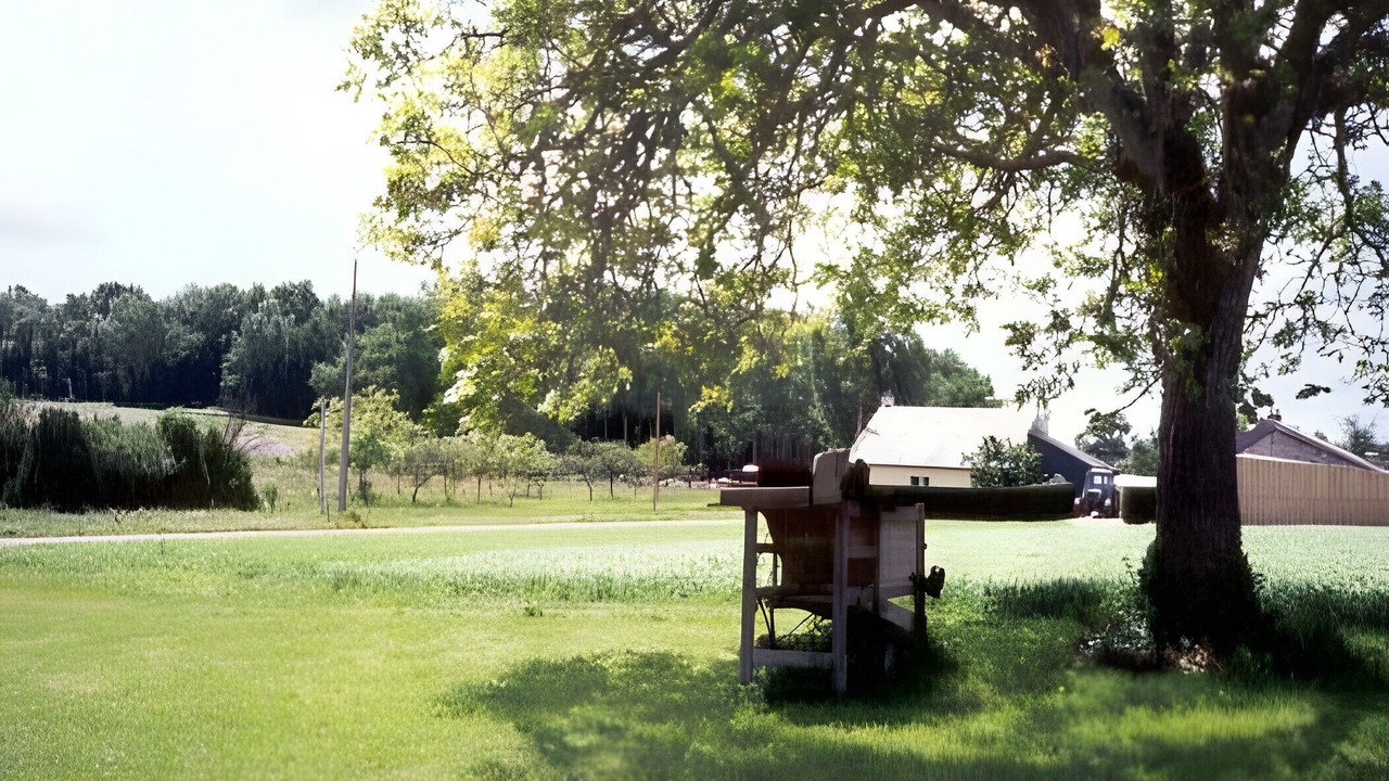 Photo of Outdoor in Allonnes