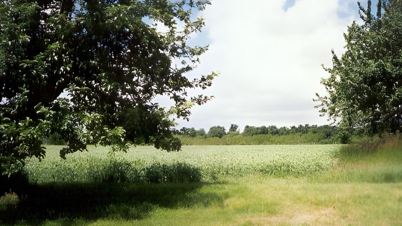 Photo of Others in Allonnes