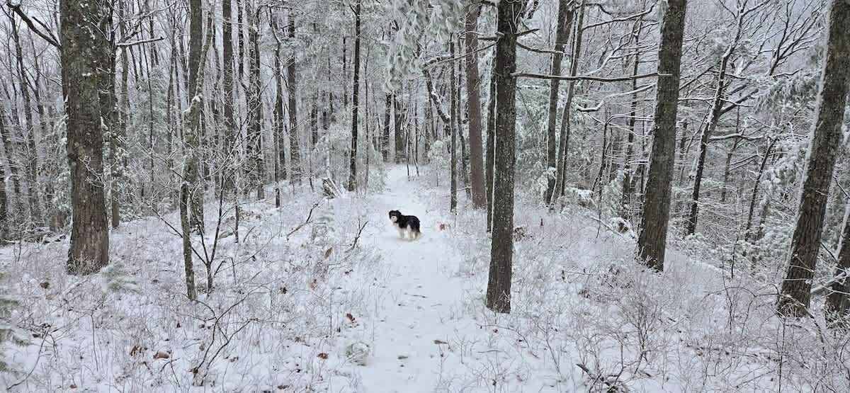 Photo of Others in Tallassee
