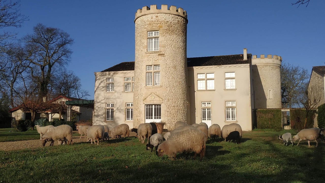 Photo of Others in Medoc