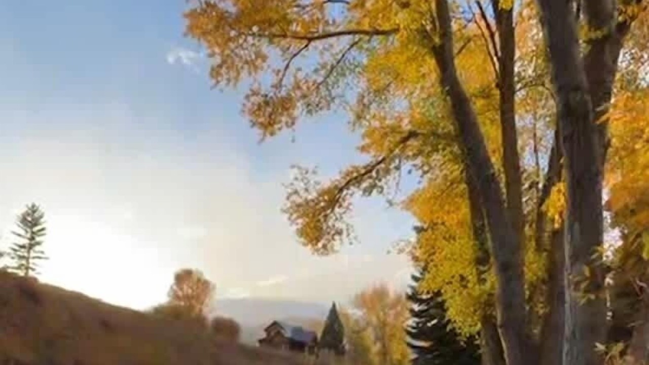 Photo of Others in Crested Butte South