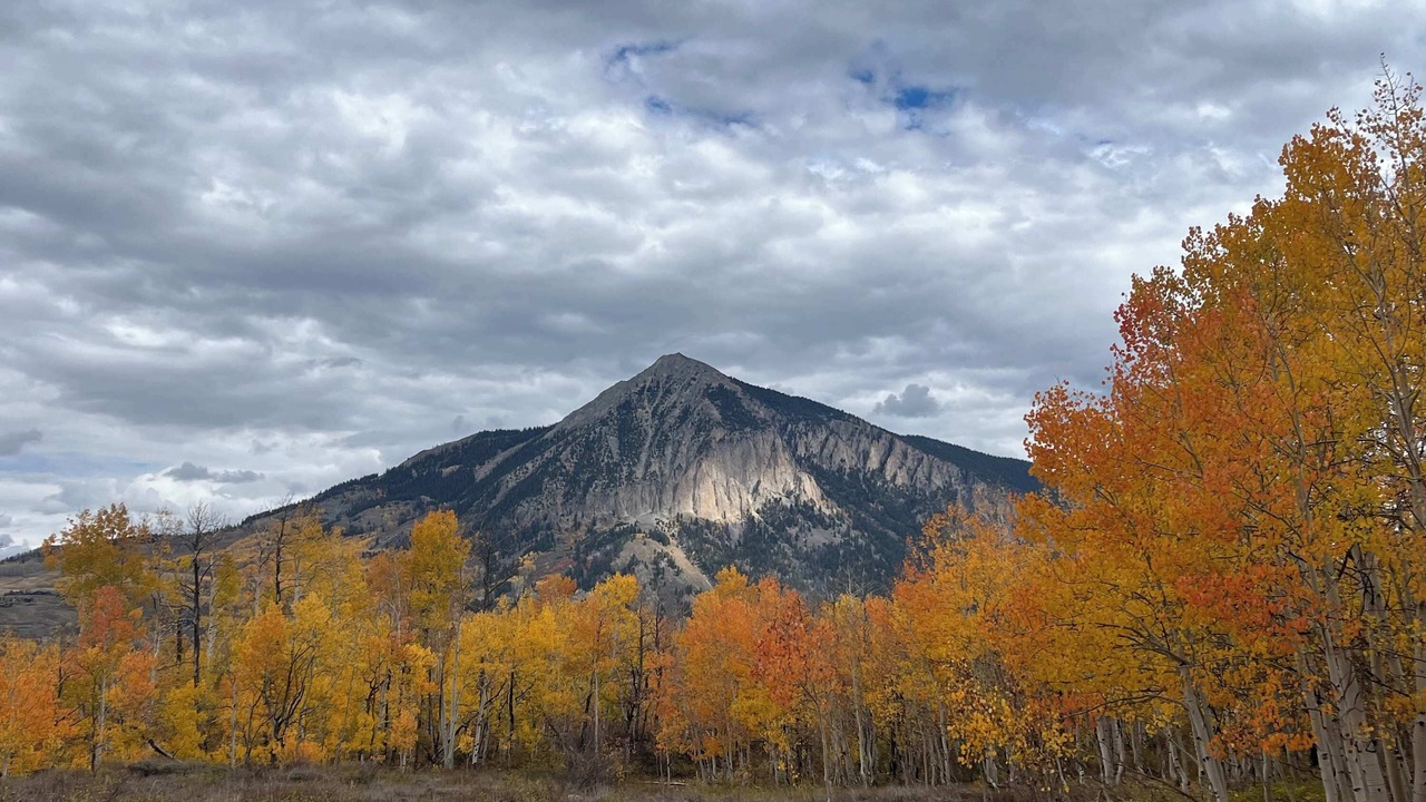 Photo of Others in Crested Butte South