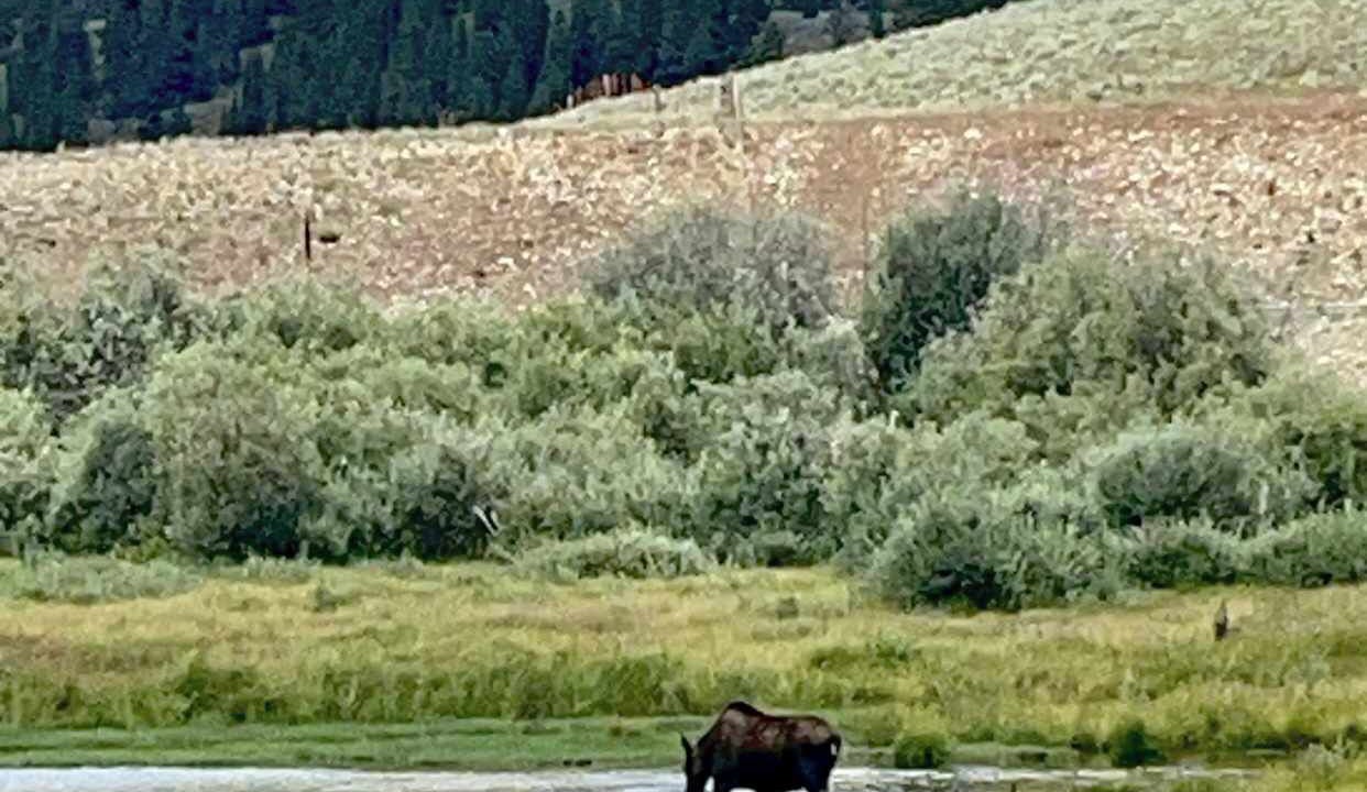 Photo of Others in Crested Butte South