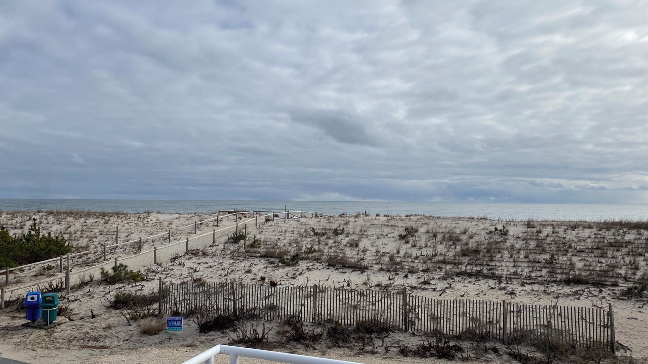 Photo of Others in Harvey Cedars