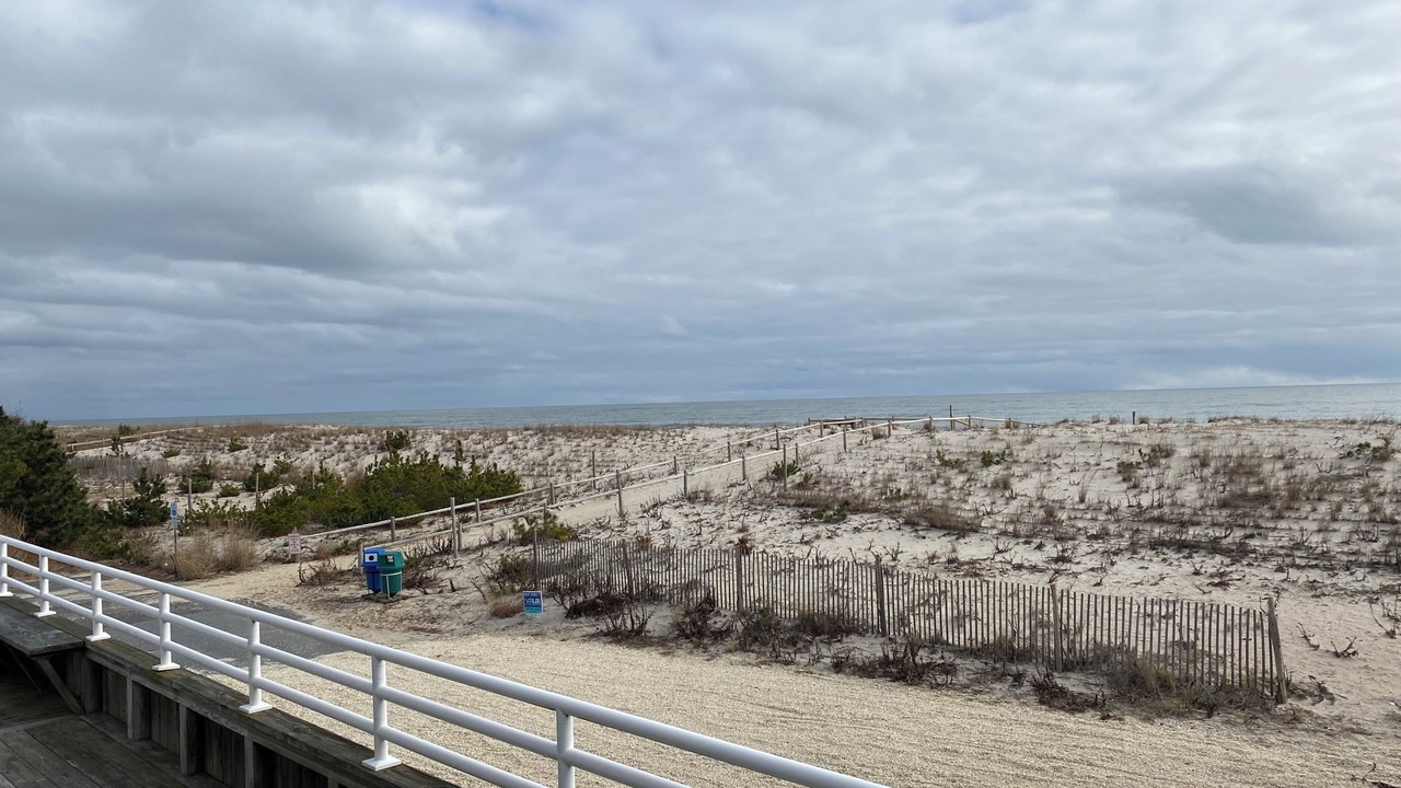 Photo of Others in Harvey Cedars
