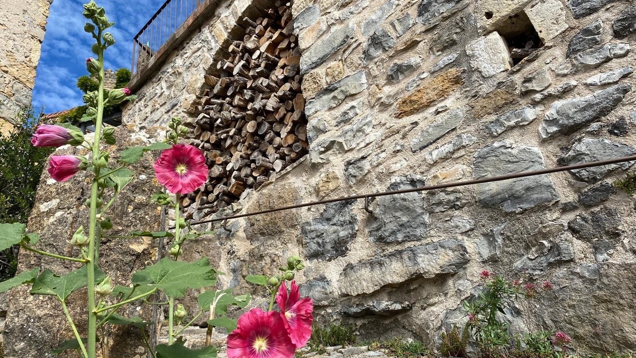 Photo of Outdoor in Riviere-sur-Tarn