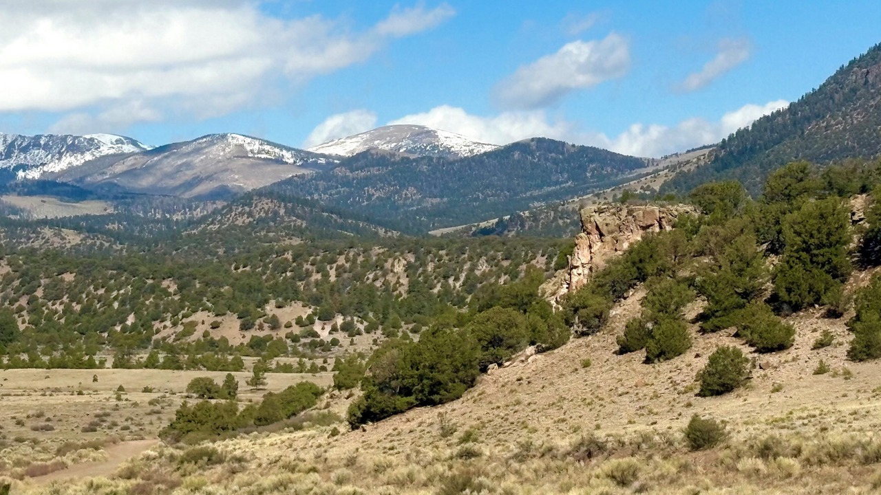 Photo of Others in Capulin