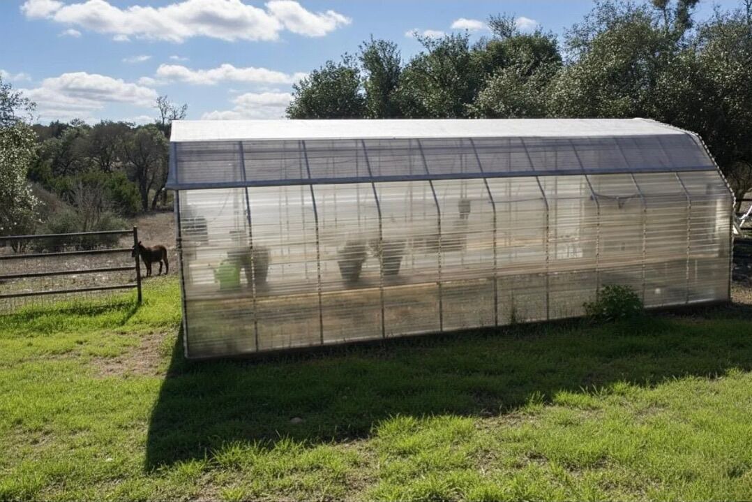 Photo of Outdoor in Spring Branch