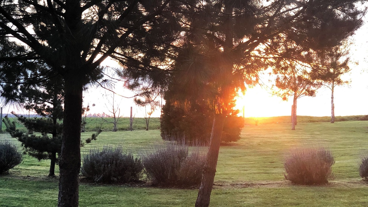 Photo of Outdoor in Bezu-la-Foret