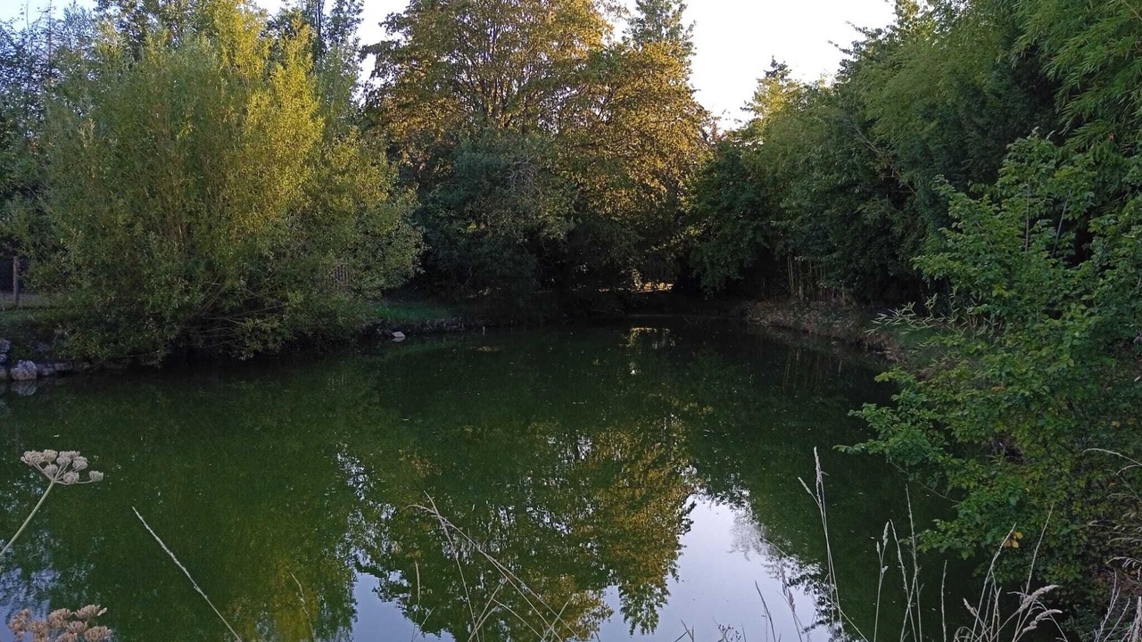 Photo of Others in La Croix-en-Touraine
