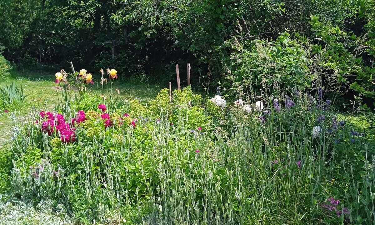 Photo of Outdoor in La Croix-en-Touraine