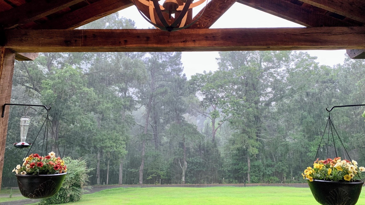 Photo of Outdoor in Fairview