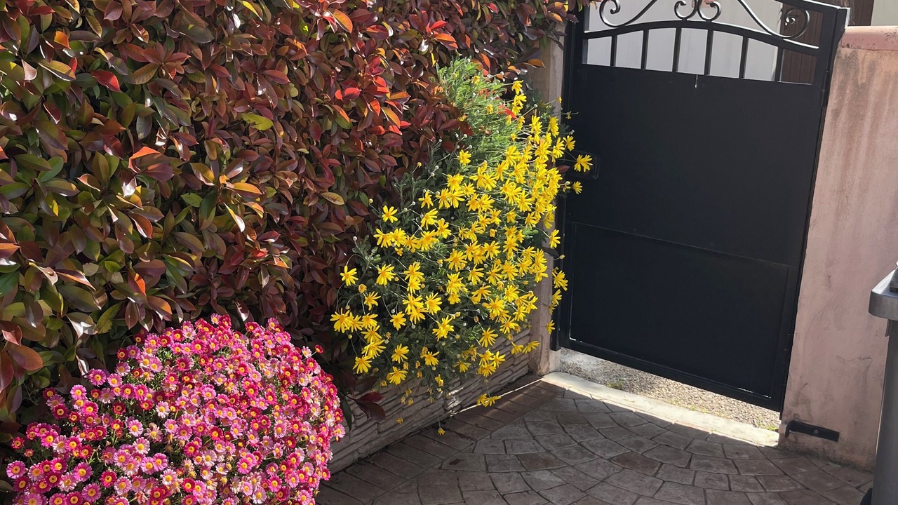 Photo of Outdoor in Manduel